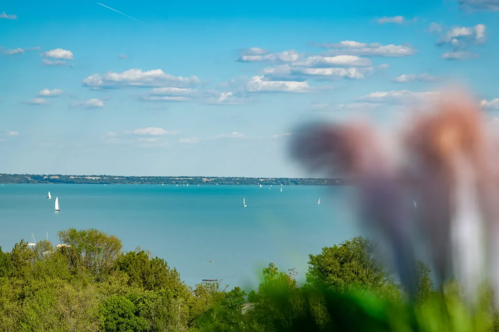 apartman 360 balatonalmadi kapcsolat elerhetoseg