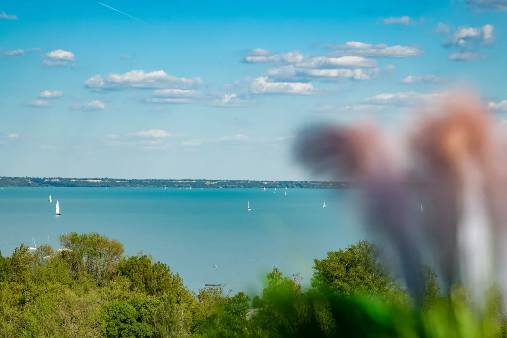apartman 360 balatonalmadi szolgaltatasok vitorlazas kep2