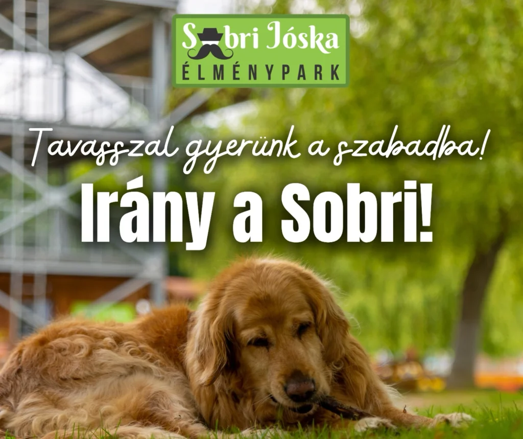 apartman360 programok csaladbarat sobri