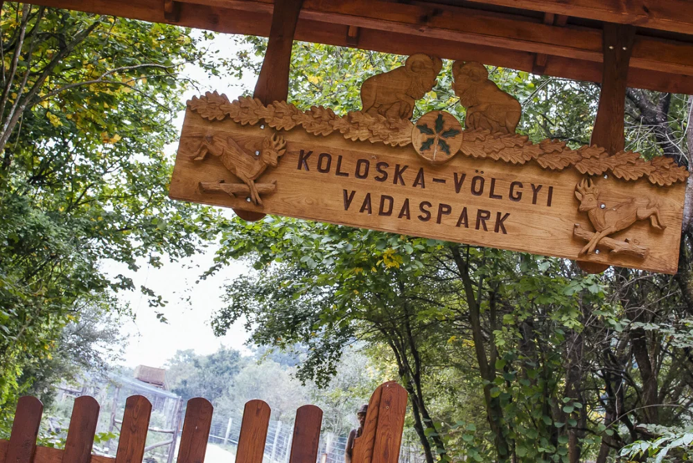 apartman360 programok koloska volgyi vadaspark